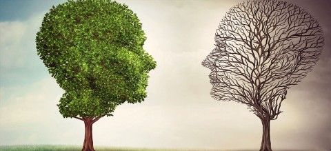 گزارش دو مورد درمان افسردگی در سلامتکده ی طب سنتی بوعلی